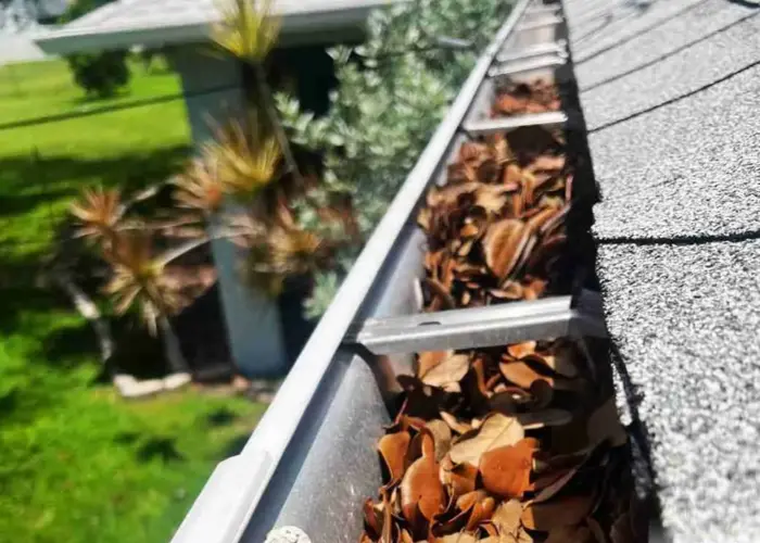 Capitol Heights gutter cleaning home page